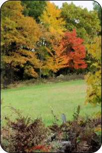 Autumn in the Town of Worcester