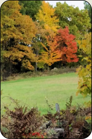 Autumn in the Town of Worcester