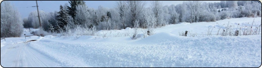 Town of Worcester in Winter